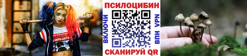 Галлюциногенные грибы Psilocybe Микунь