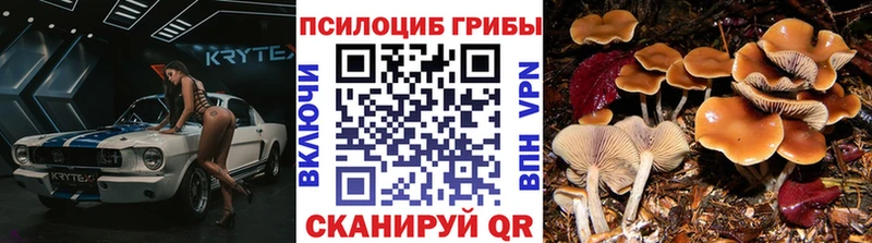 Галлюциногенные грибы GOLDEN TEACHER  Микунь 